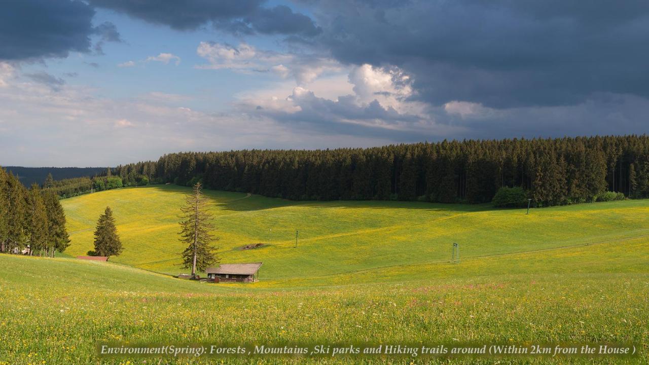 Entire House In Schwarzwald With Mountain View, Private Sauna, Gym, Garden And Terraces Unterkirnach Eksteriør bilde