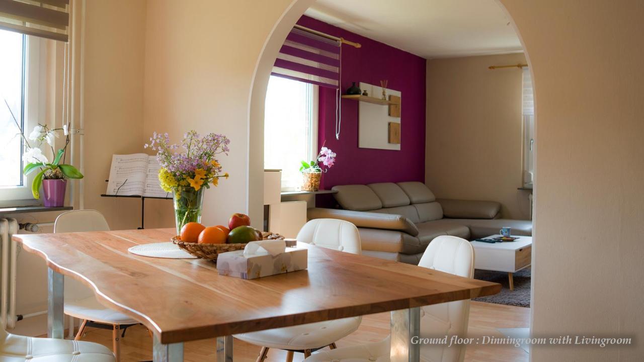Entire House In Schwarzwald With Mountain View, Private Sauna, Gym, Garden And Terraces Unterkirnach Eksteriør bilde