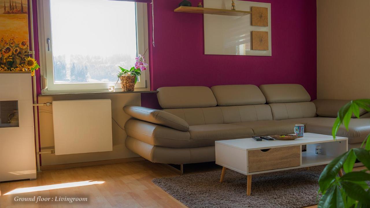 Entire House In Schwarzwald With Mountain View, Private Sauna, Gym, Garden And Terraces Unterkirnach Eksteriør bilde