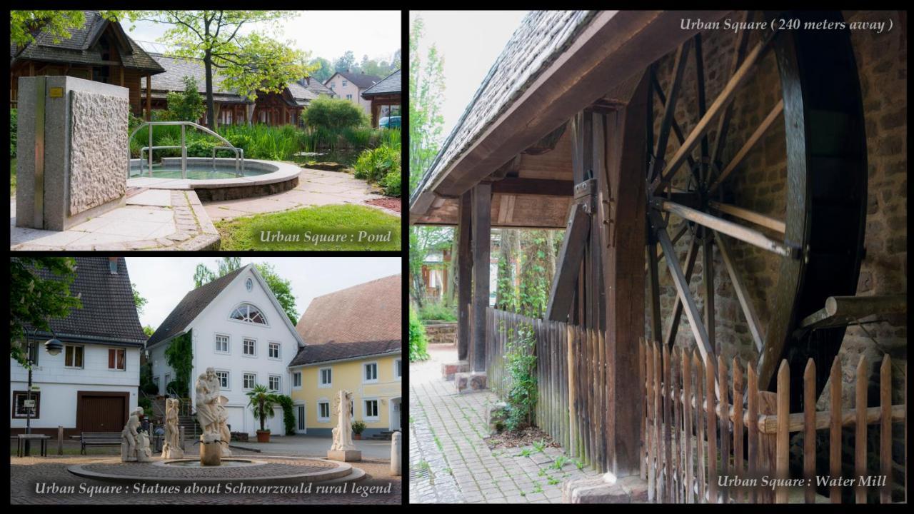 Entire House In Schwarzwald With Mountain View, Private Sauna, Gym, Garden And Terraces Unterkirnach Eksteriør bilde