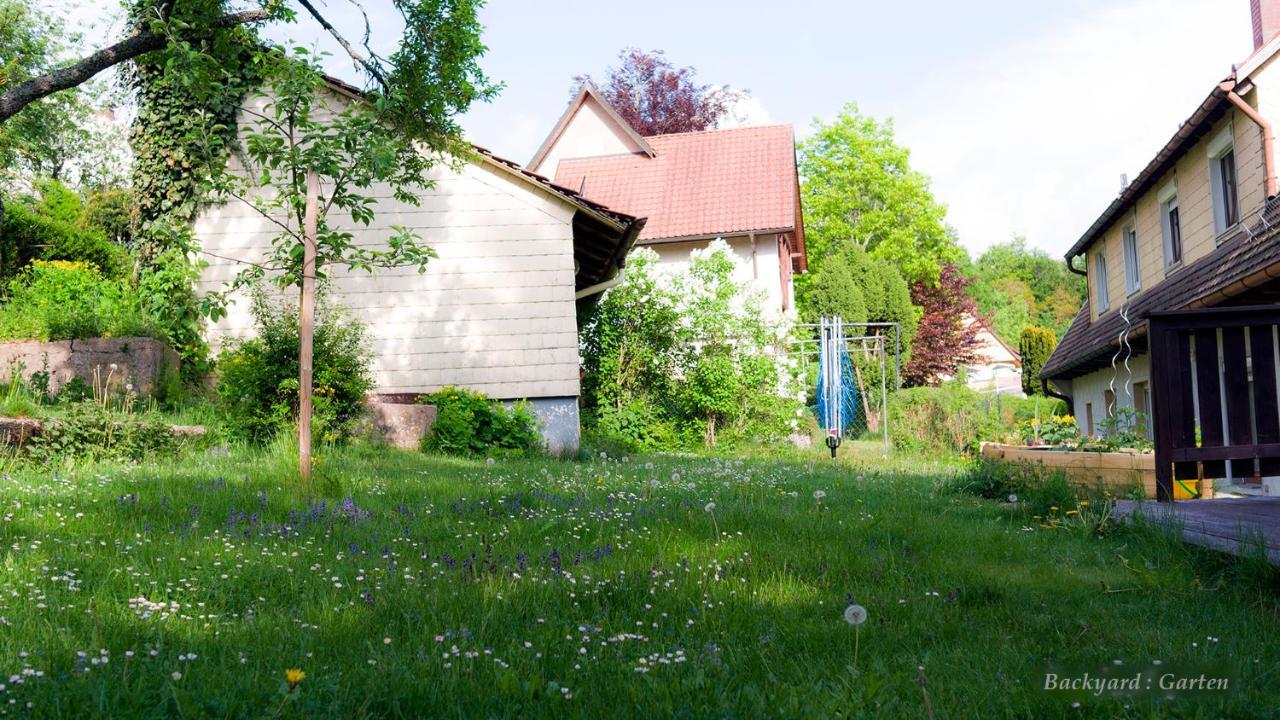 Entire House In Schwarzwald With Mountain View, Private Sauna, Gym, Garden And Terraces Unterkirnach Eksteriør bilde